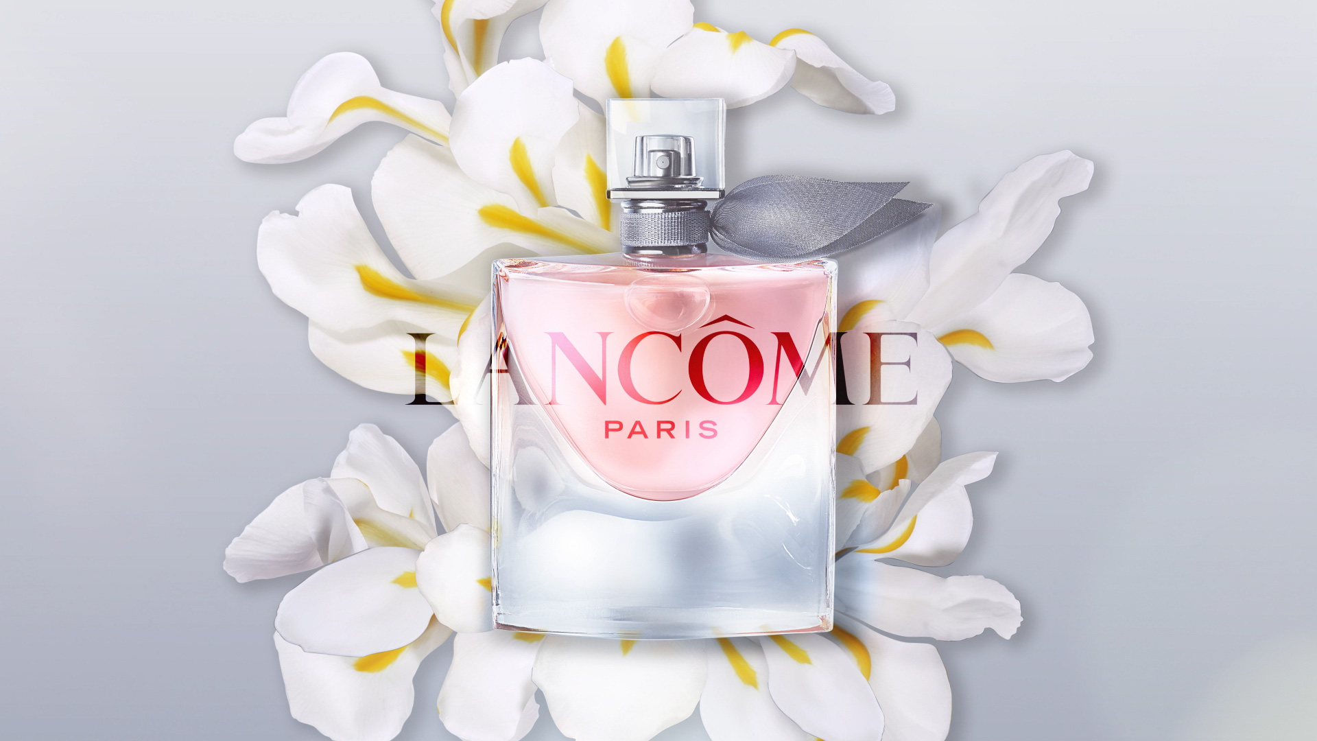 Project – njmotion reel gallery image