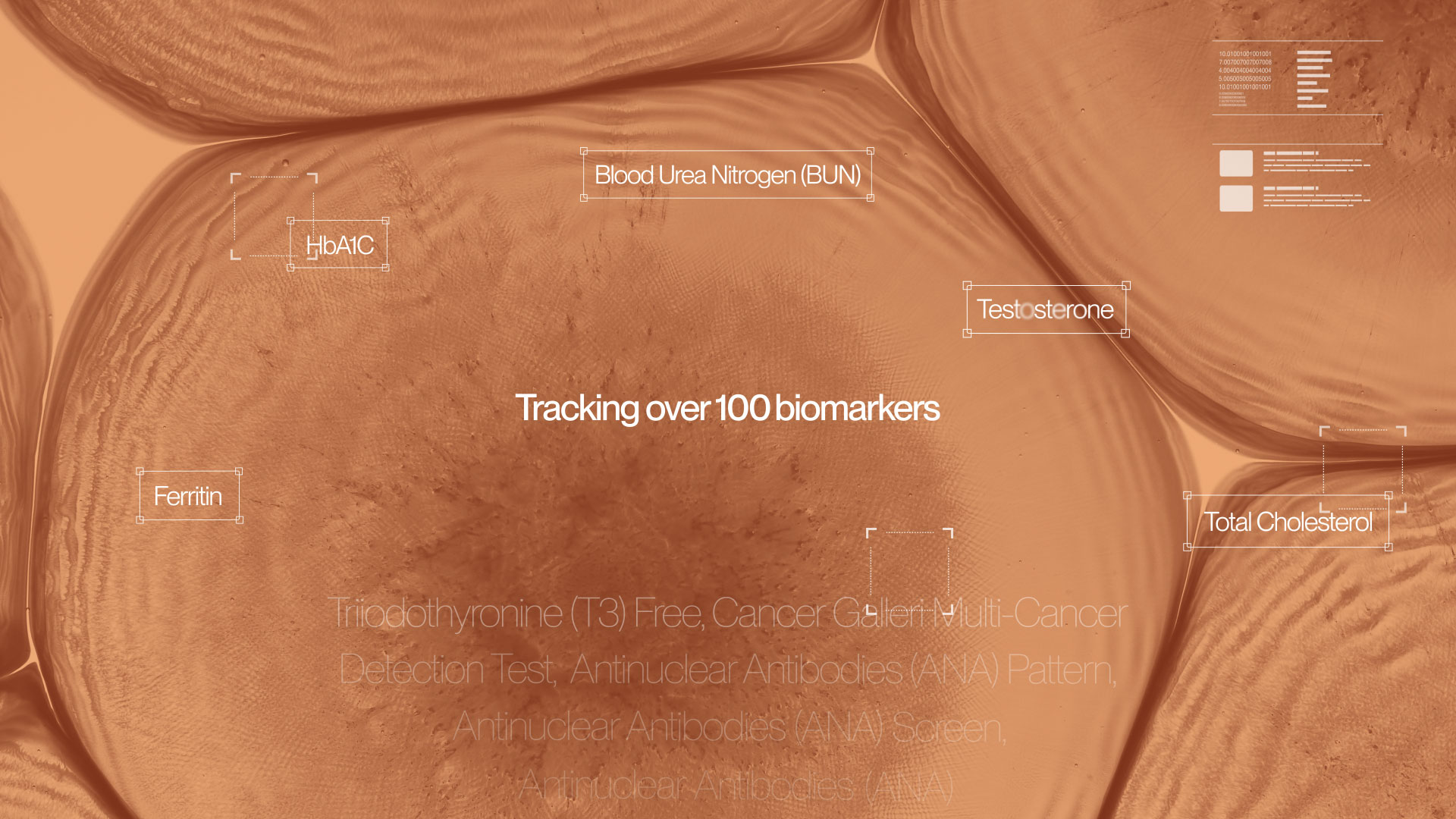 Project – Sedona gallery image